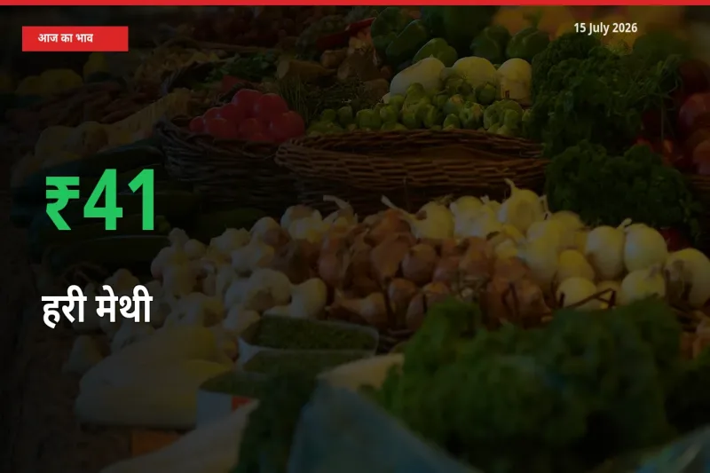 बाज़ार संकेत: हरी मेथी के भाव मंडी में 40.84% ऊपर