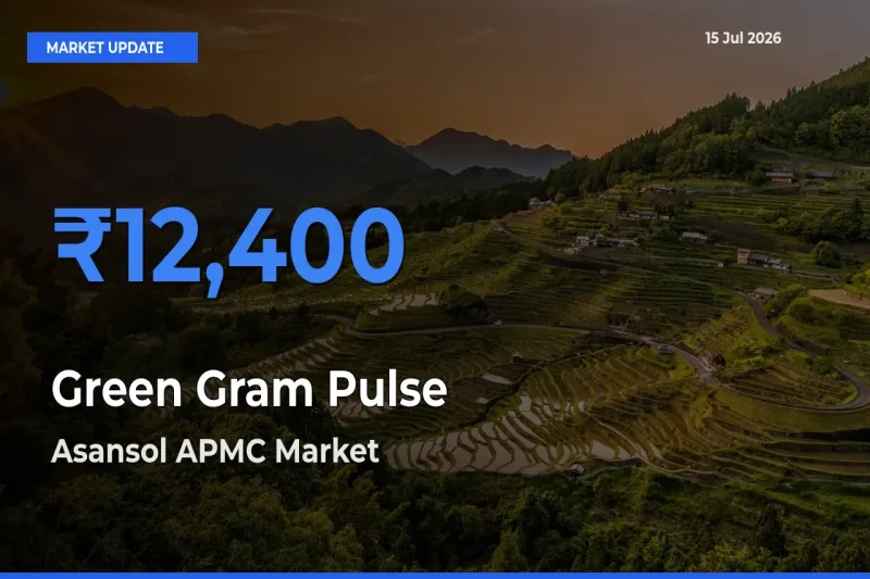 Market Watch: Asansol APMC Becomes Top Mandi for Green Gram Pulse