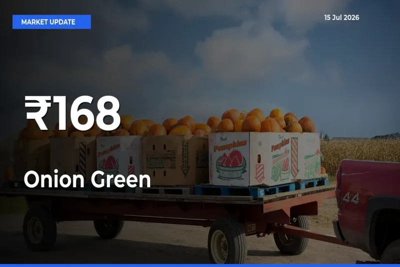 Why Onion Green Prices Are Moving Across Multiple Mandis Today
