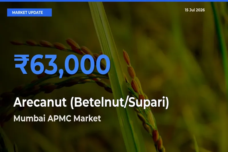 Mumbai APMC Tops Arecanut (Betelnut/Supari) Mandi Rates Today