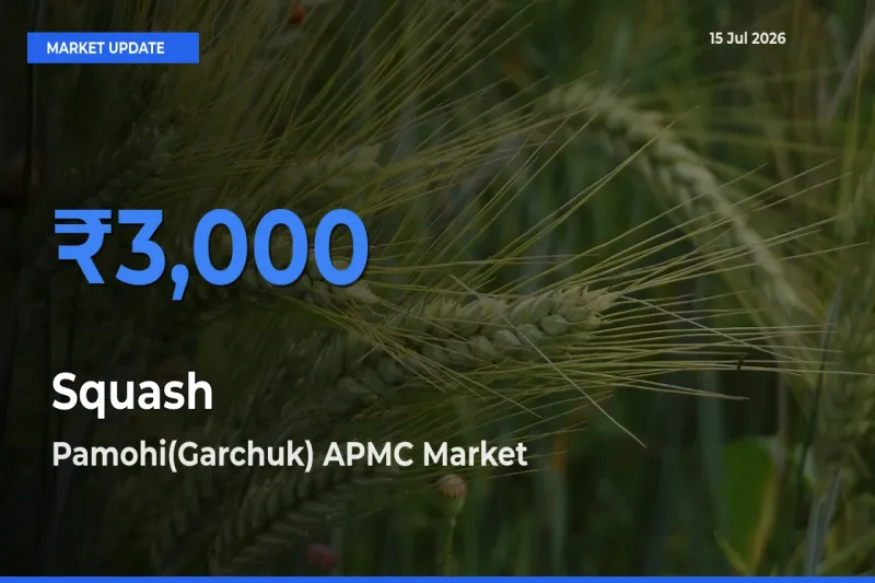 Pamohi(Garchuk) APMC Emerges as Top Mandi for Squash Prices Today
