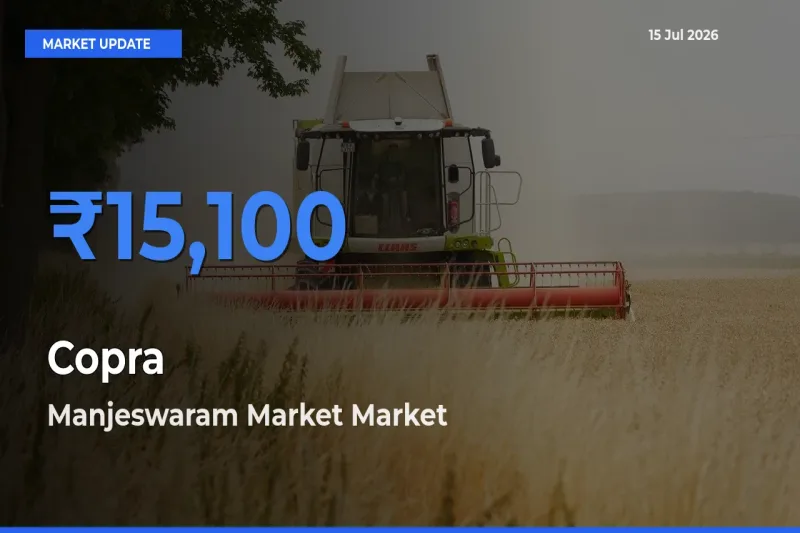 Manjeswaram Market Tops Copra Mandi Rates Today