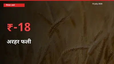 किसानों की चिंता बढ़ी! स्थानीय मंडी में अरहर फली 18.4% गिरा