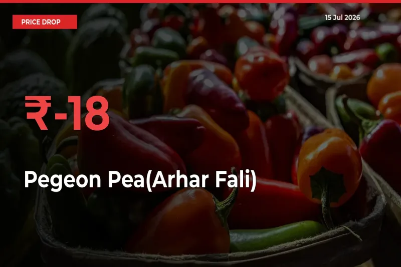 Pegeon Pea(Arhar Fali) Prices Drop 18.4% – July 15 Market Update from Mandis