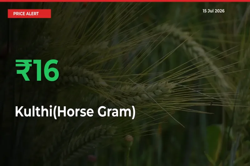 Farmers Cheer as Kulthi(Horse Gram) Prices Surge 15.65% in Local Mandis