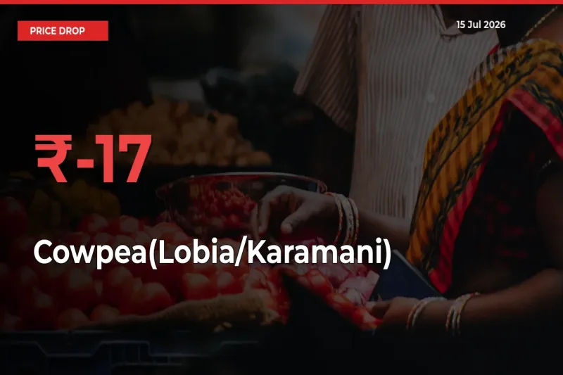 Cowpea(Lobia/Karamani) Prices Drop 17.28% – July 15 Market Update from Mandis