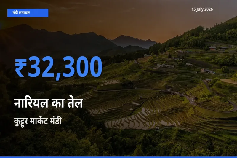 15 July अपडेट: नारियल का तेल के सबसे ऊँचे दाम कुट्टूर मार्केट मंडी में