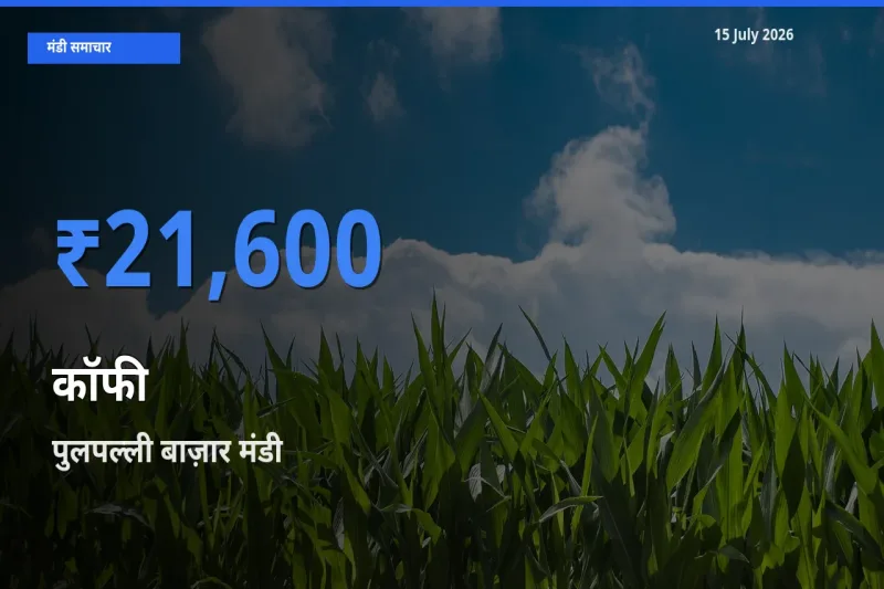 आज का मंडी भाव: कॉफी के सबसे ज़्यादा दाम पुलपल्ली बाज़ार में