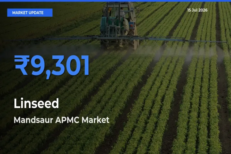 Mandsaur APMC Leads as Top Mandi for Linseed Prices