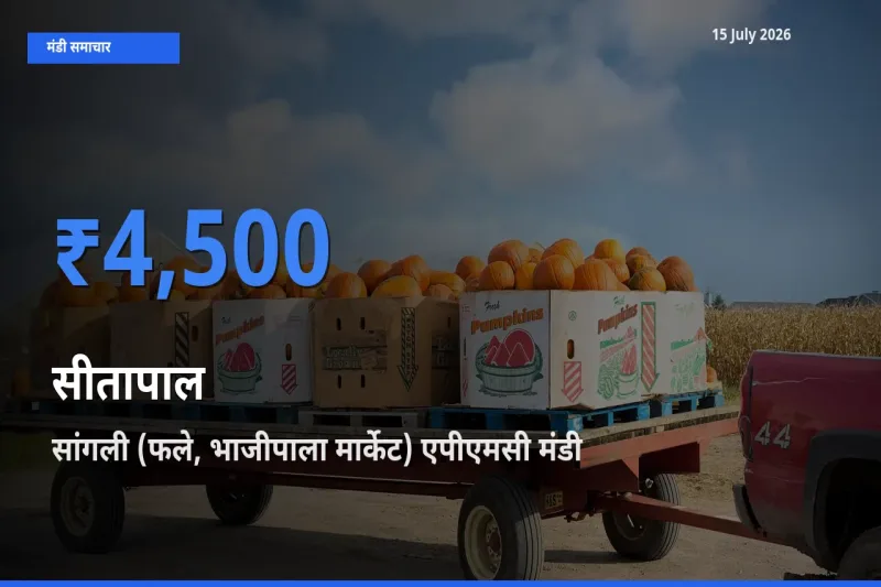 बाज़ार संकेत: सांगली (फले, भाजीपाला मार्केट) एपीएमसी बना सीतापाल के लिए आज की टॉप मंडी