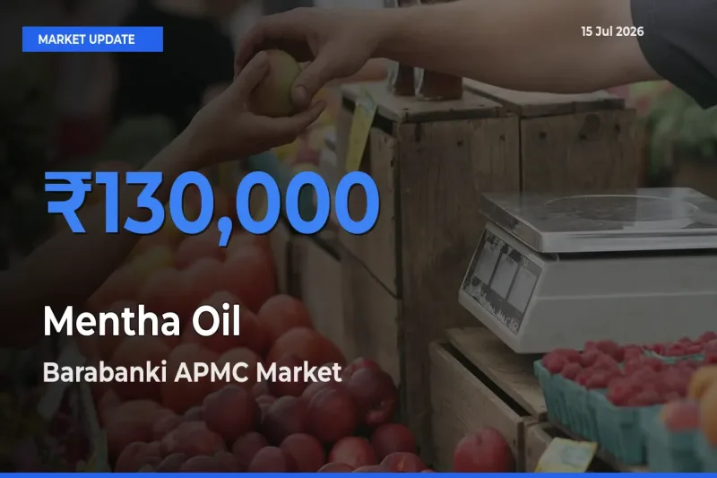 Barabanki APMC Records Highest ₹130,000 Rate for Mentha Oil