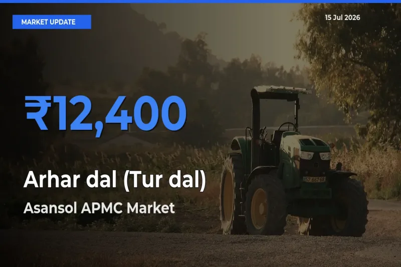 Arhar dal (Tur dal) Mandi Rate Today: Asansol APMC Tops the List