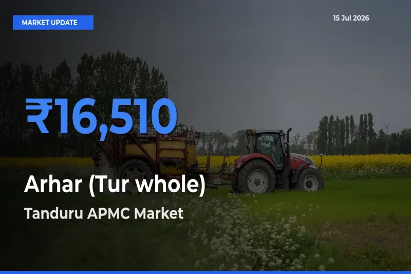 Tanduru APMC Offers ₹16,510 – Highest Arhar (Tur whole) Rate Today