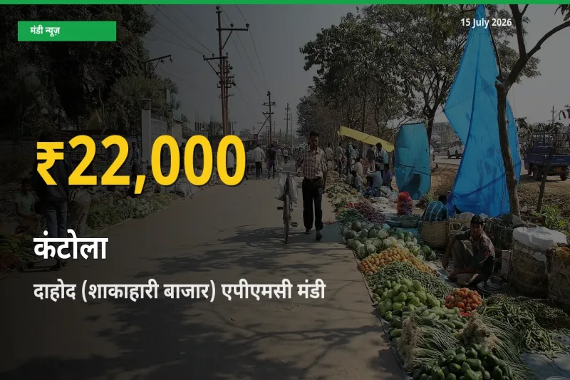 किसानों के लिए खुशखबरी! दाहोद (शाकाहारी बाजार) एपीएमसी में कंटोला के दाम रिकॉर्ड स्तर पर