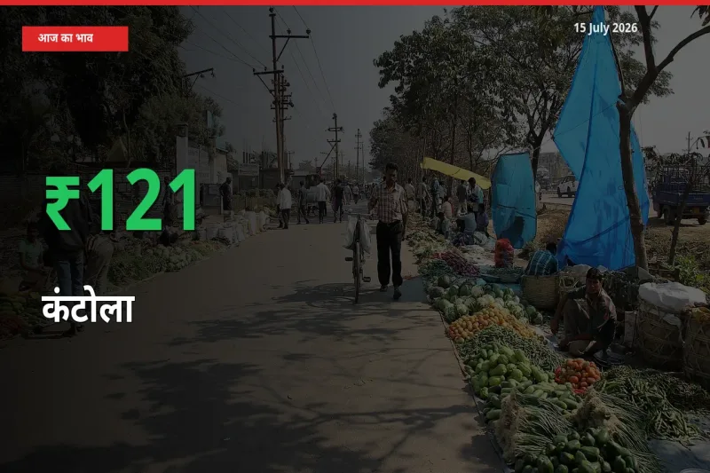 बाज़ार संकेत: कंटोला के भाव मंडी में 121.26% ऊपर