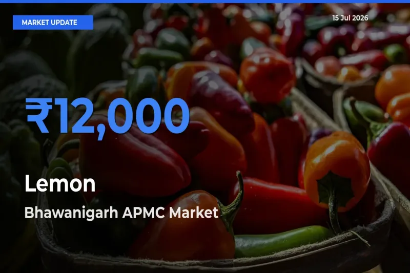 Bhawanigarh APMC Emerges as Top Mandi for Lemon Prices Today
