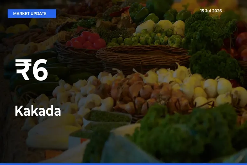 Why Kakada Prices Are Moving Across Multiple Mandis Today