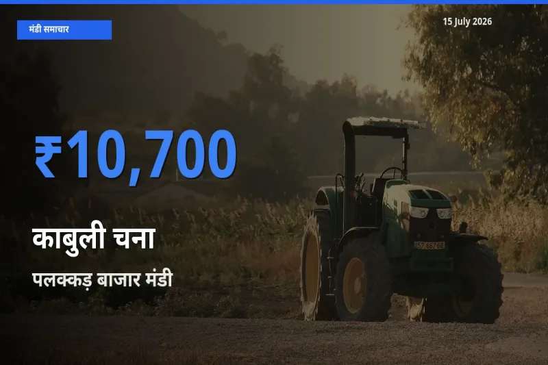 पलक्कड़ बाजार मंडी में आज काबुली चना के सबसे ऊँचे दाम दर्ज