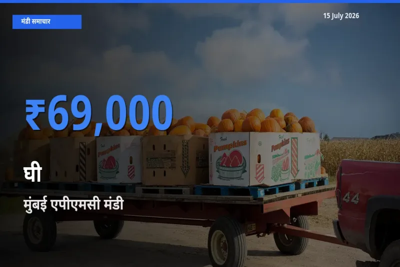 किसानों की पसंद बना मुंबई एपीएमसी, घी के सबसे अच्छे दाम