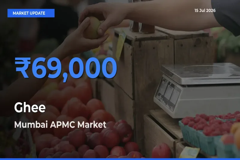 Mumbai APMC Offers ₹69,000 – Highest Ghee Rate Today
