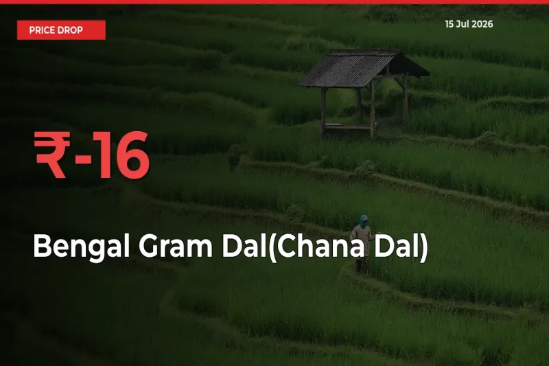 Bengal Gram Dal(Chana Dal) Prices Drop 16.05% – July 15 Market Update from Mandis