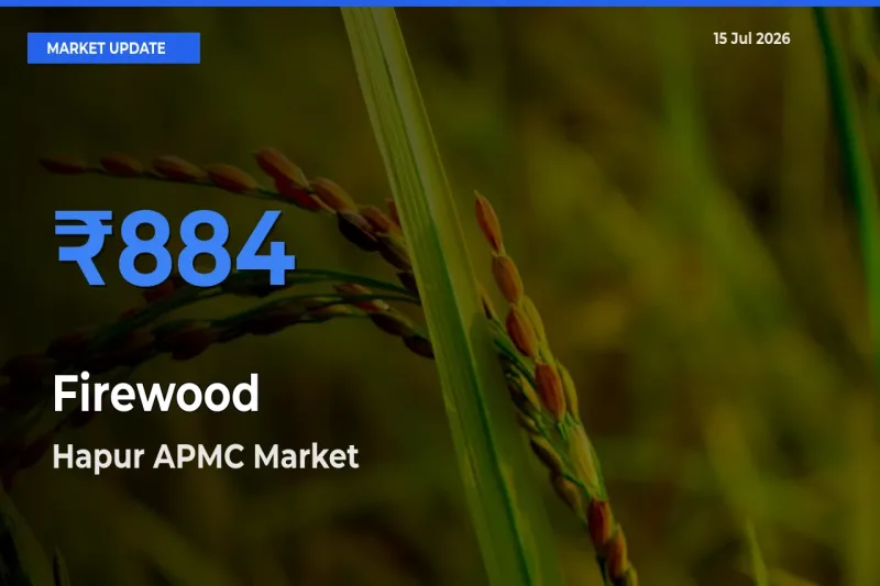 Hapur APMC Tops Firewood Mandi Rates Today