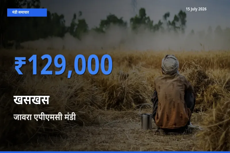 जावरा एपीएमसी में खसखस का आज सबसे ऊँचा भाव