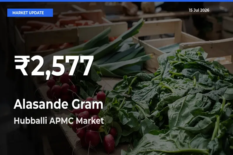 Alasande Gram Prices Touch 30-Day Low in Hubballi APMC – July 15 Update