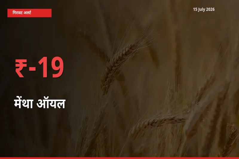 तेज़ गिरावट! मंडी में मेंथा ऑयल के दाम 19.36% लुढ़के