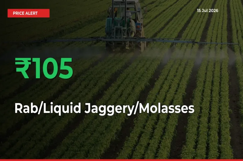 Rab/Liquid Jaggery/Molasses Rises 105.25% at Mandis