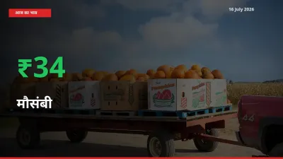तेज़ तेजी! मंडी में मौसंबी के दाम 34.16% चढ़े