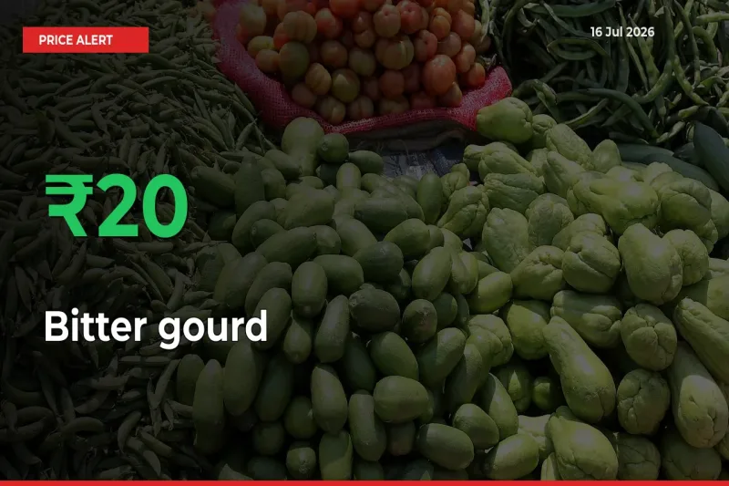 19.63% Spike in Bitter gourd Prices – Mandi Sees Sudden Rally