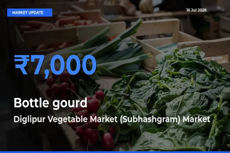 Diglipur Vegetable Market (Subhashgram) Tops Bottle gourd Mandi Rates Today