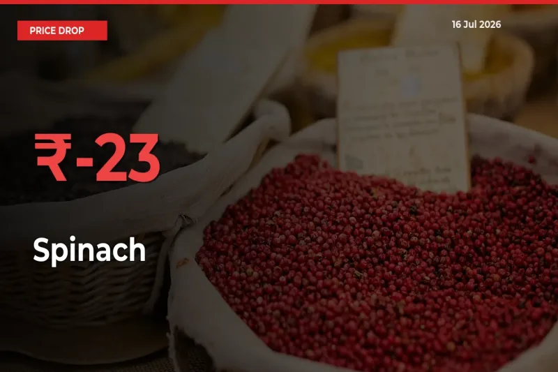 Spinach Mandi Rate Today: Prices Fall 22.54% at Market