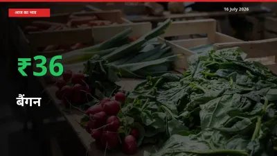 तेज़ तेजी! मंडी में बैंगन के दाम 36.18% चढ़े
