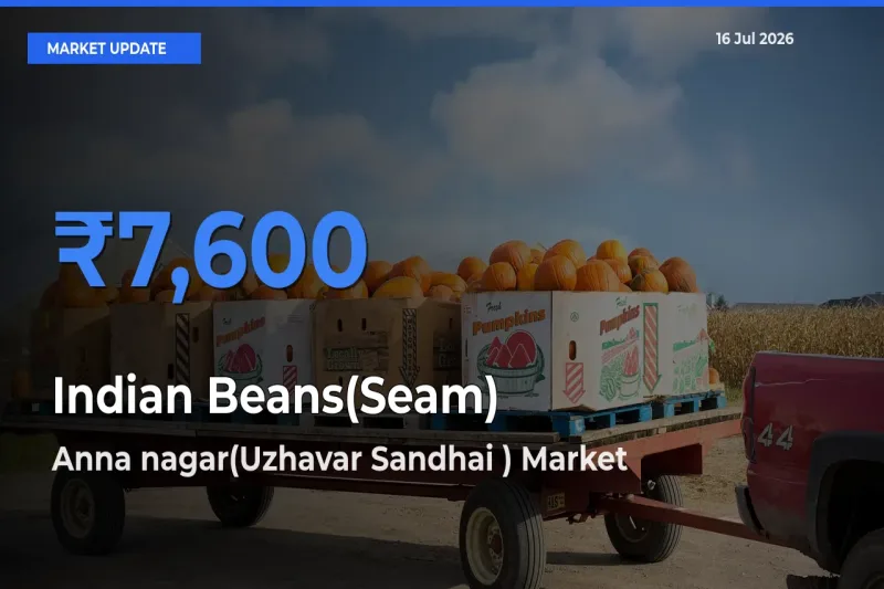 Anna nagar(Uzhavar Sandhai ) Records Highest ₹7,600 Rate for Indian Beans(Seam)