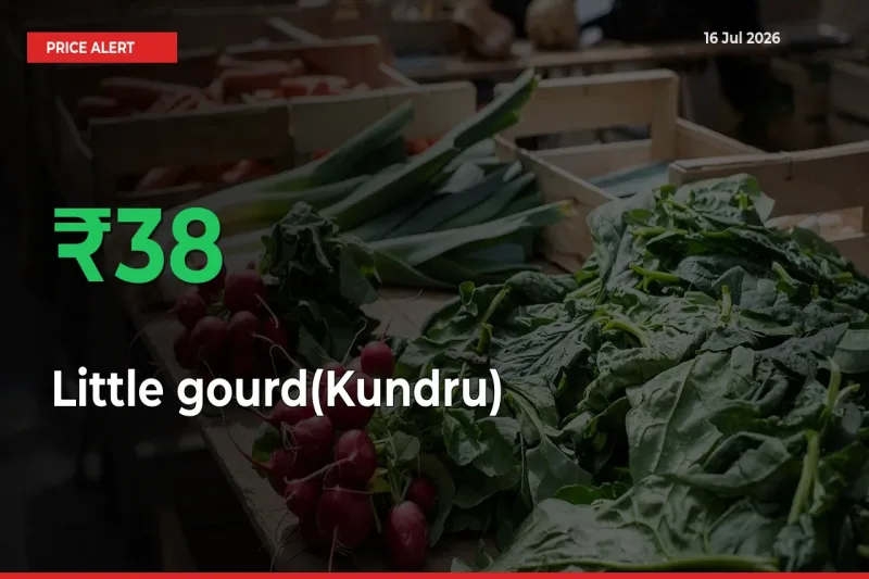Little gourd(Kundru) Prices Rise 37.53% in a Day at Major Mandis