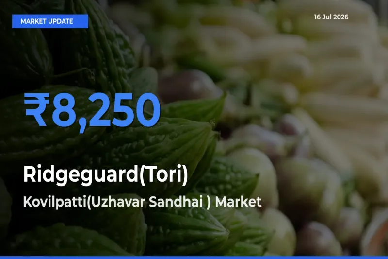 Market Watch: Kovilpatti(Uzhavar Sandhai ) Becomes Top Mandi for Ridgeguard(Tori)