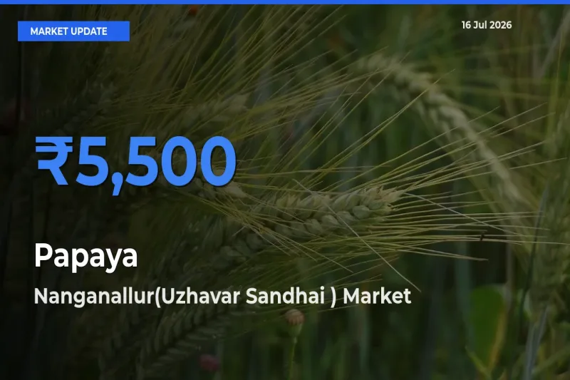 Nanganallur(Uzhavar Sandhai ) Tops Papaya Mandi Rates Today