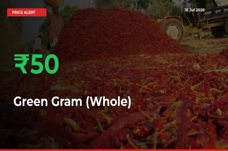 Green Gram (Whole) Prices Rise 50.43% in a Day at Major Mandis