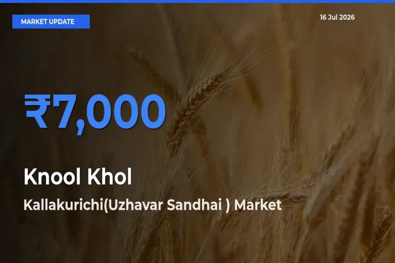 Kallakurichi(Uzhavar Sandhai ) Tops Knool Khol Mandi Rates Today