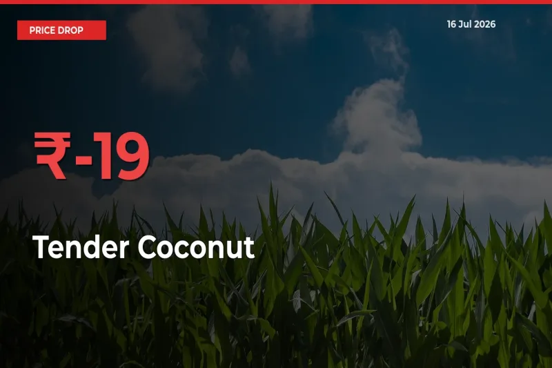 Tender Coconut Prices Drop 18.67% – July 16 Market Update from Mandis