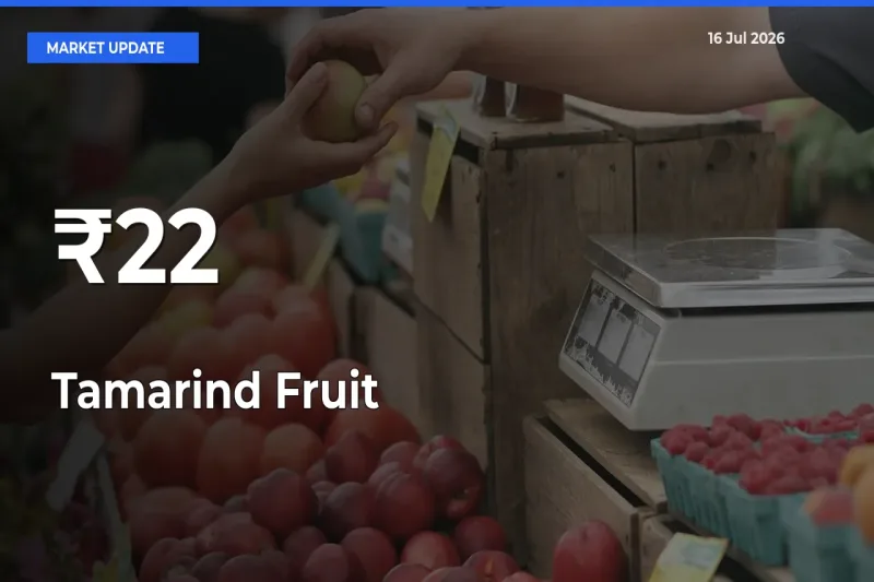 Tamarind Fruit Mandi Trend Today: Prices Shift Across Multiple Markets