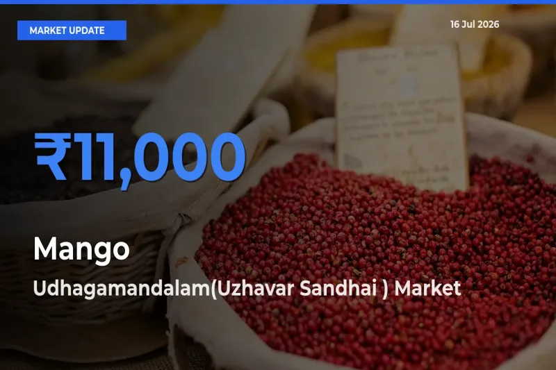 Farmers Prefer Udhagamandalam(Uzhavar Sandhai ) as Mango Hits Highest Rate