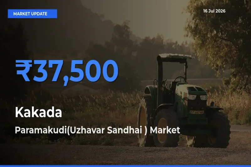 Paramakudi(Uzhavar Sandhai ) Tops Kakada Mandi Rates Today