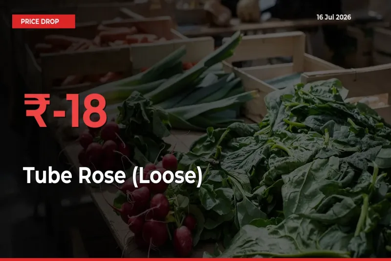 18.33% Drop in Tube Rose (Loose) Prices – Mandi Sees Sudden Fall
