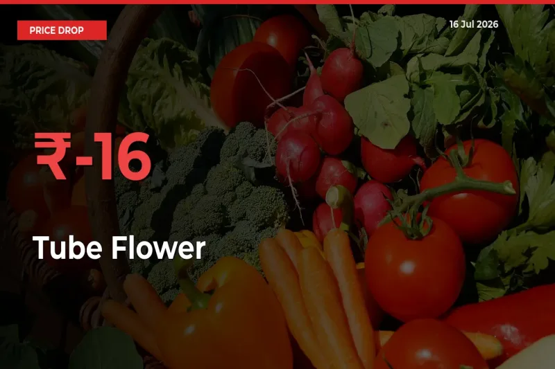 15.75% Drop in Tube Flower Prices – Mandi Sees Sudden Fall