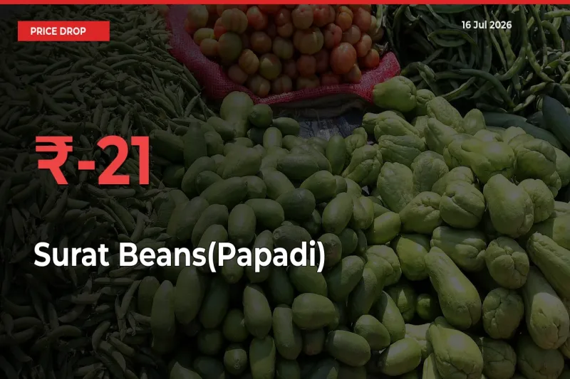 Surat Beans(Papadi) Mandi Rate Today: Prices Fall 20.83% at Market