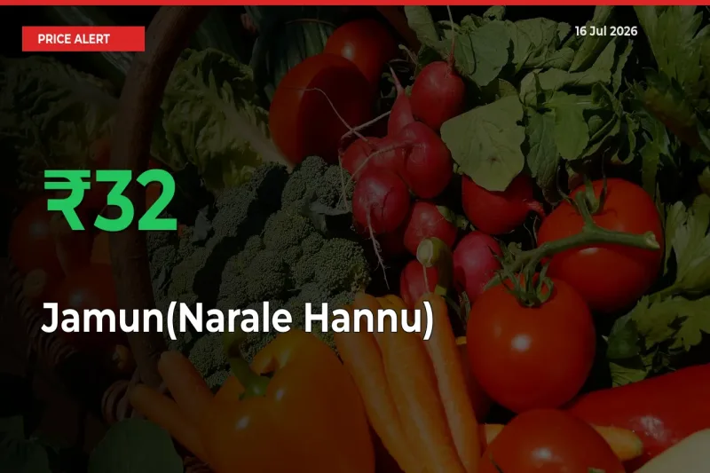 Farmers Cheer as Jamun(Narale Hannu) Prices Surge 32.13% in Local Mandis