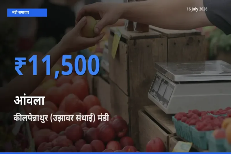 बाज़ार संकेत: कीलपेन्नाथुर (उझावर संधाई) बना आंवला के लिए आज की टॉप मंडी